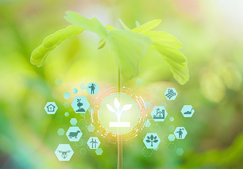 Fyhik Brand Introduction